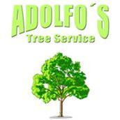 Adolfo's Tree Service